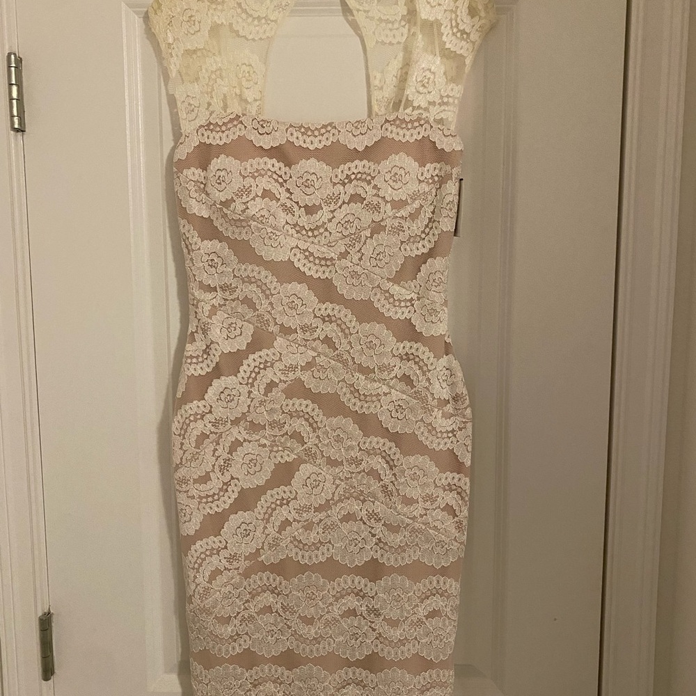 Nightway Lace Overlay Dress - Cream and nude
